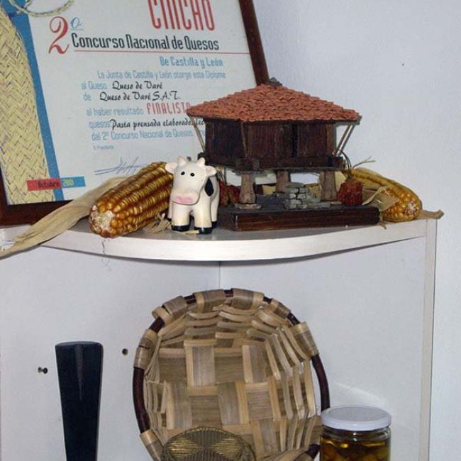 Galardones recibidos