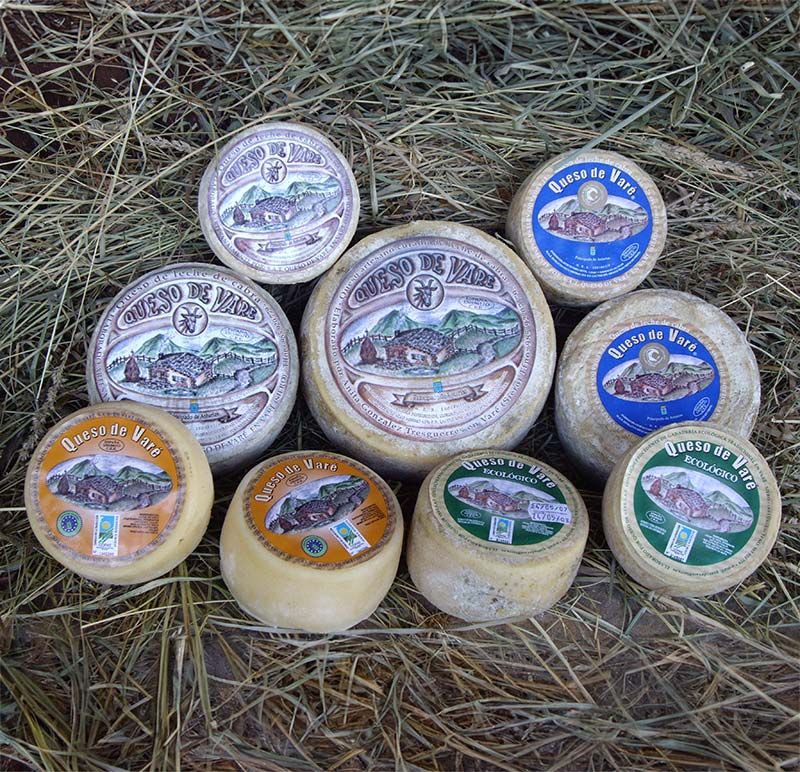 Quesos artesanos asturianos